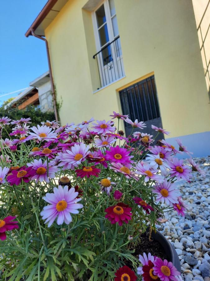 B&B Ca Di Bollo Moneglia Εξωτερικό φωτογραφία